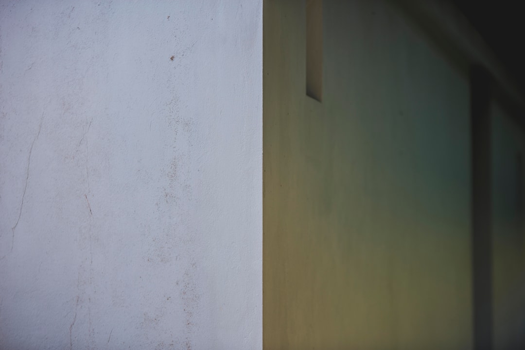 what is a spec house