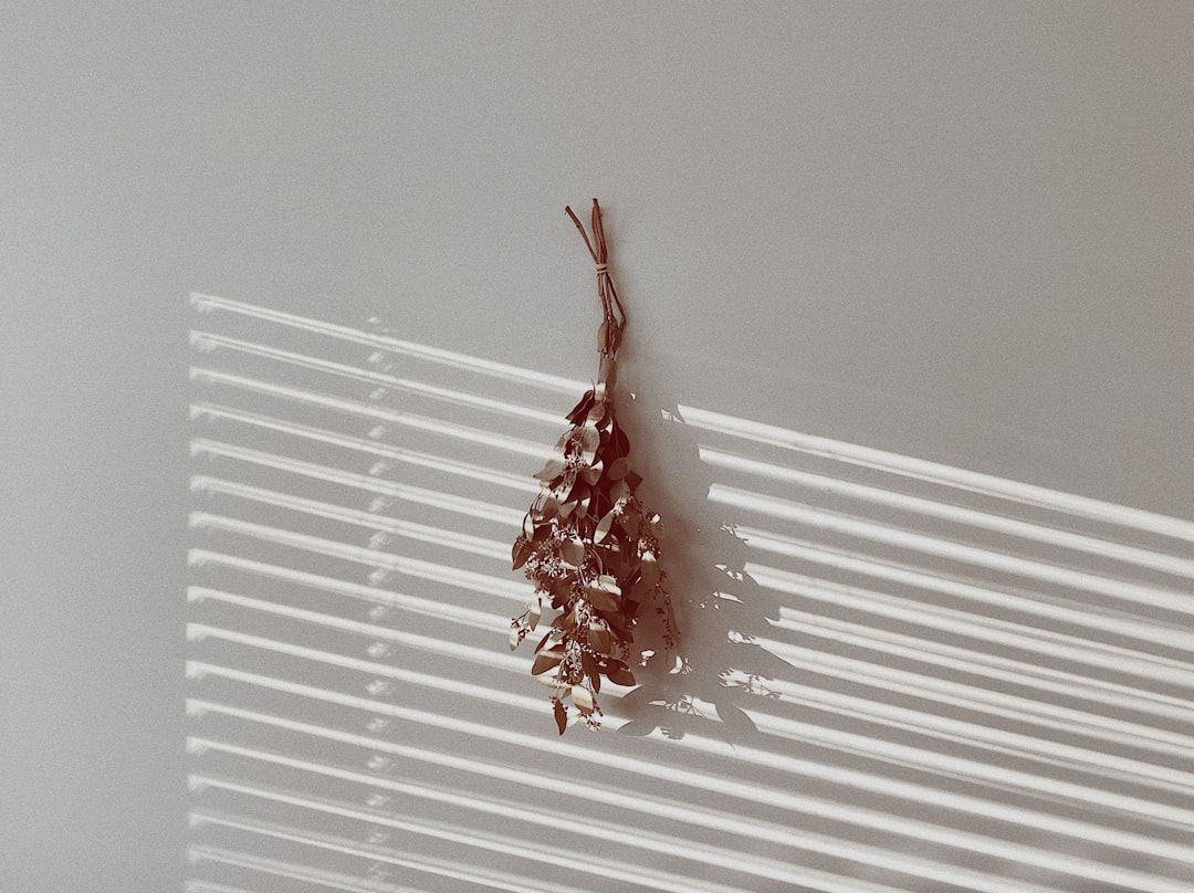 why are earwigs in my house