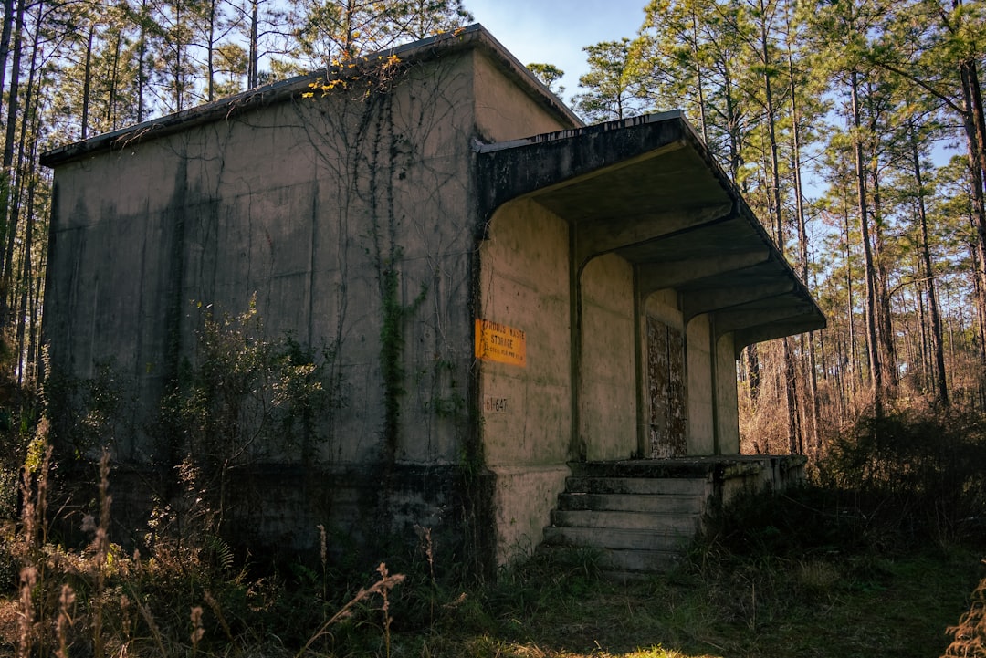 do houses in florida have basements