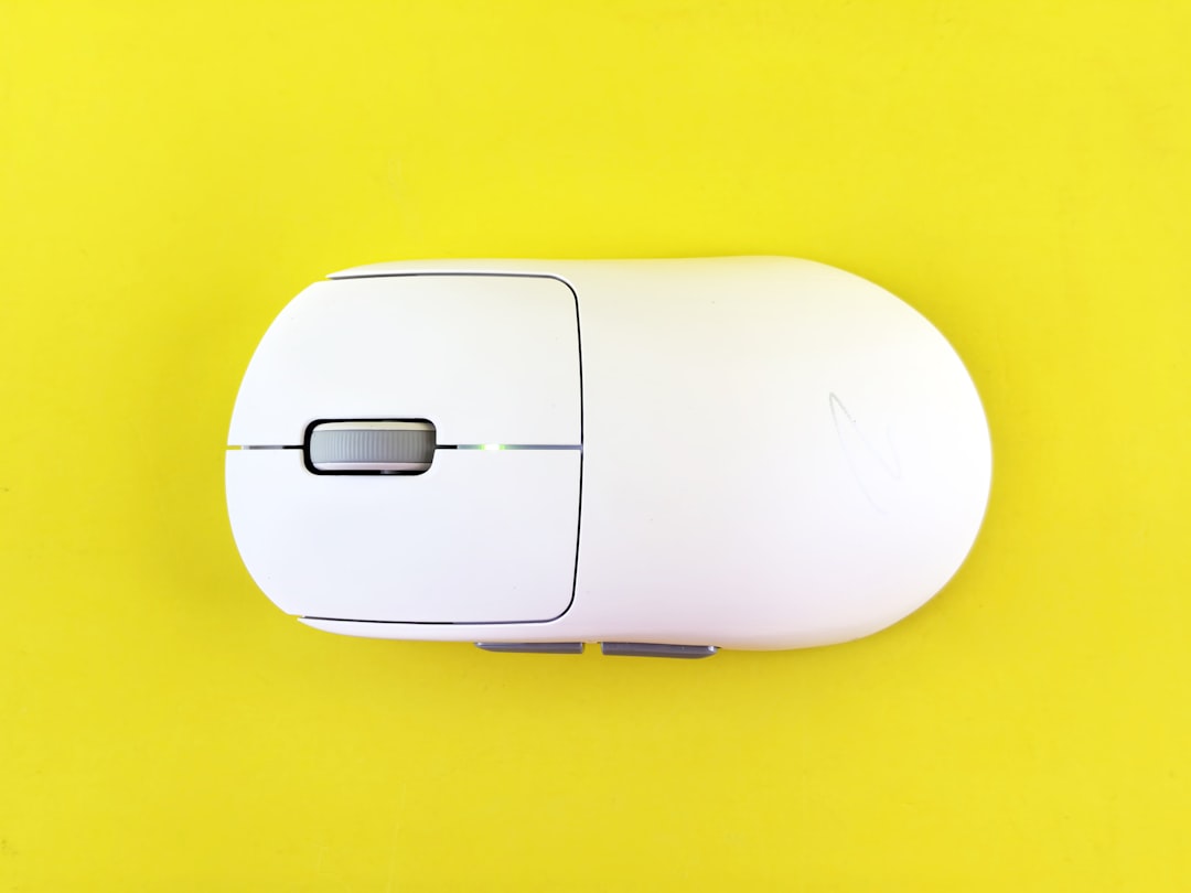 how to mouse proof your house