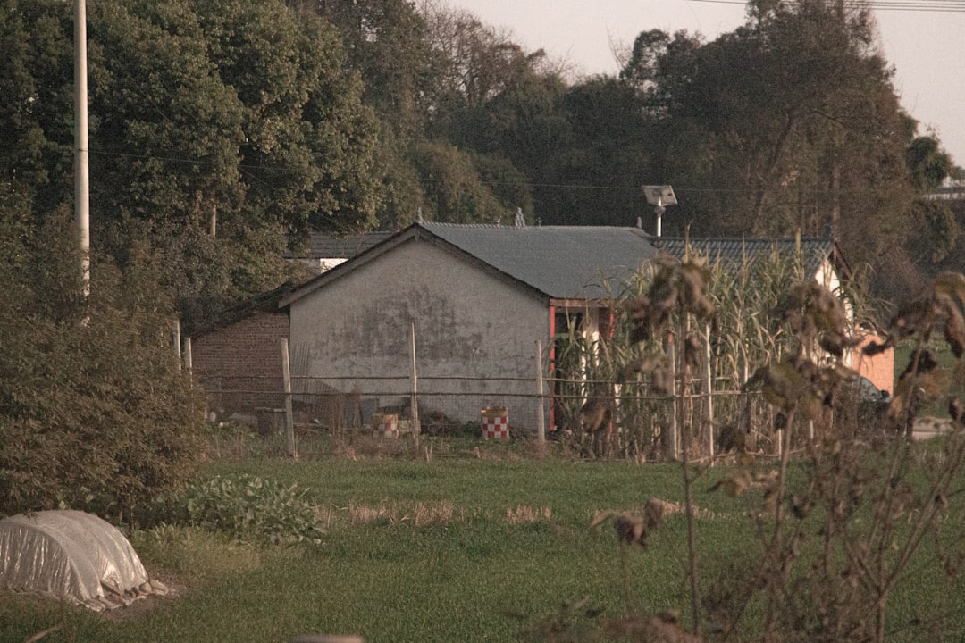 where is animal house filmed