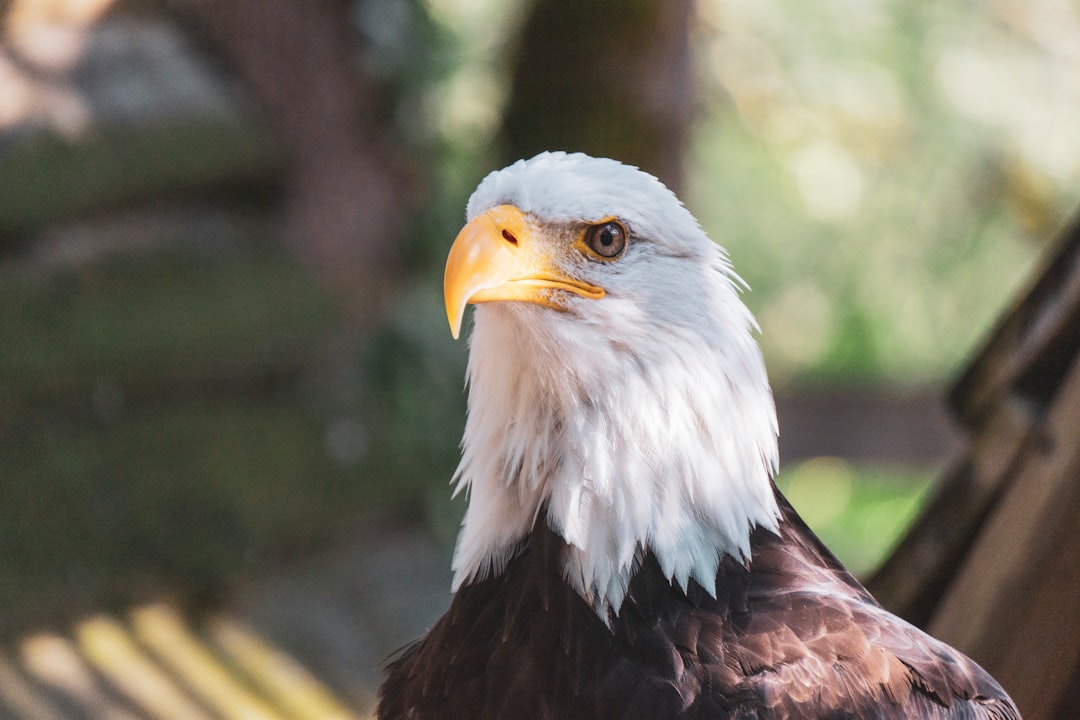 7 Reasons Why American Eagle Jeans Are So Popular