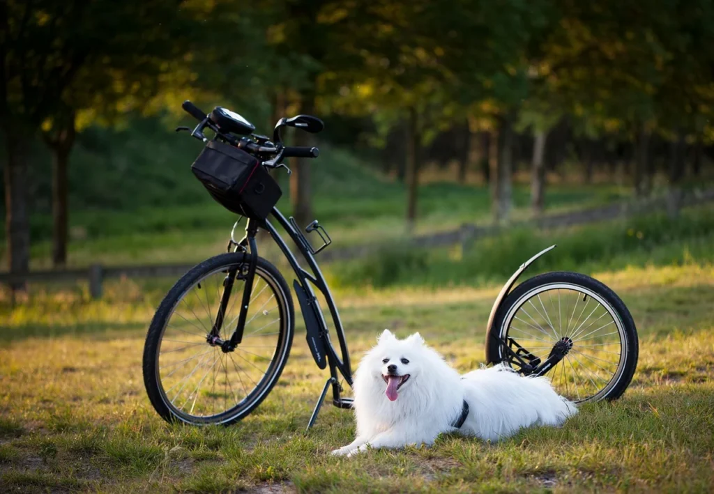 Why a Farmhouse Duplex Is Ideal for Multi‑Family Living