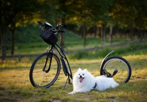 Why a Farmhouse Duplex Is Ideal for Multi‑Family Living