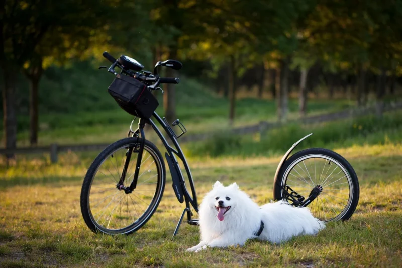 Farmhouse Duplex Plans for Multi‑Family Living – The Ultimate Guide to Dual‑Family Country Homes