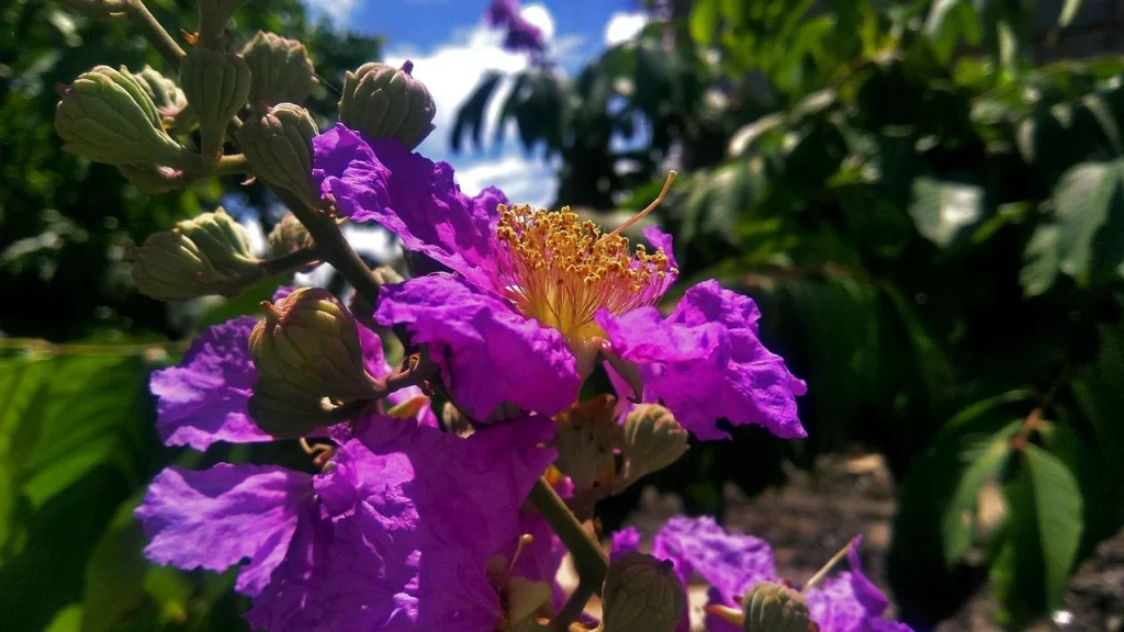 Why a Flexible Home Office Is a Must‑Have in 2026