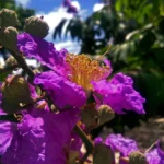 Why a Flexible Home Office Is a Must‑Have in 2026