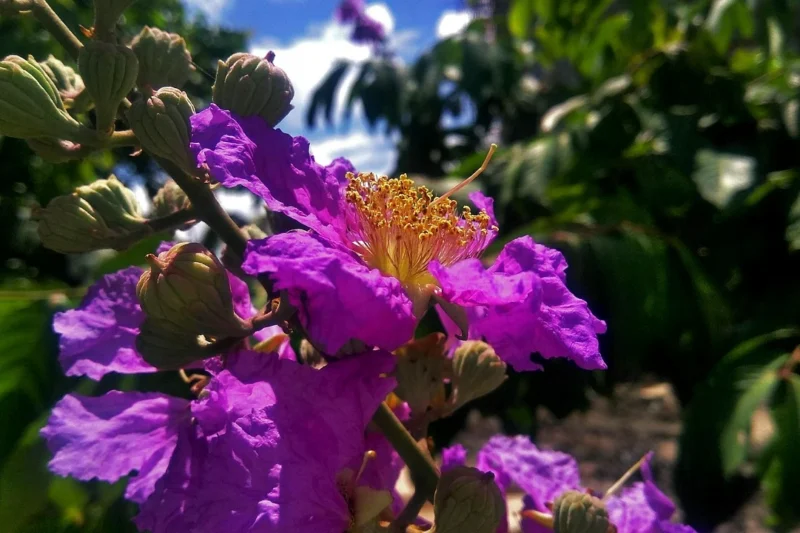 Flexible Farmhouse House Plans with a Modern Home Office – Smart, Stylish & Adaptable