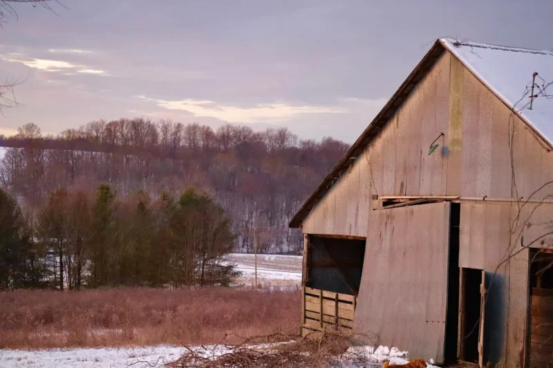Why Open‑Concept Living Is the Core of Modern Rural Design