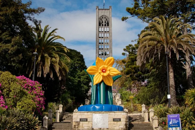 Fully Funded New Zealand Scholarships 2026 – Apply Now, Limited Spots Available