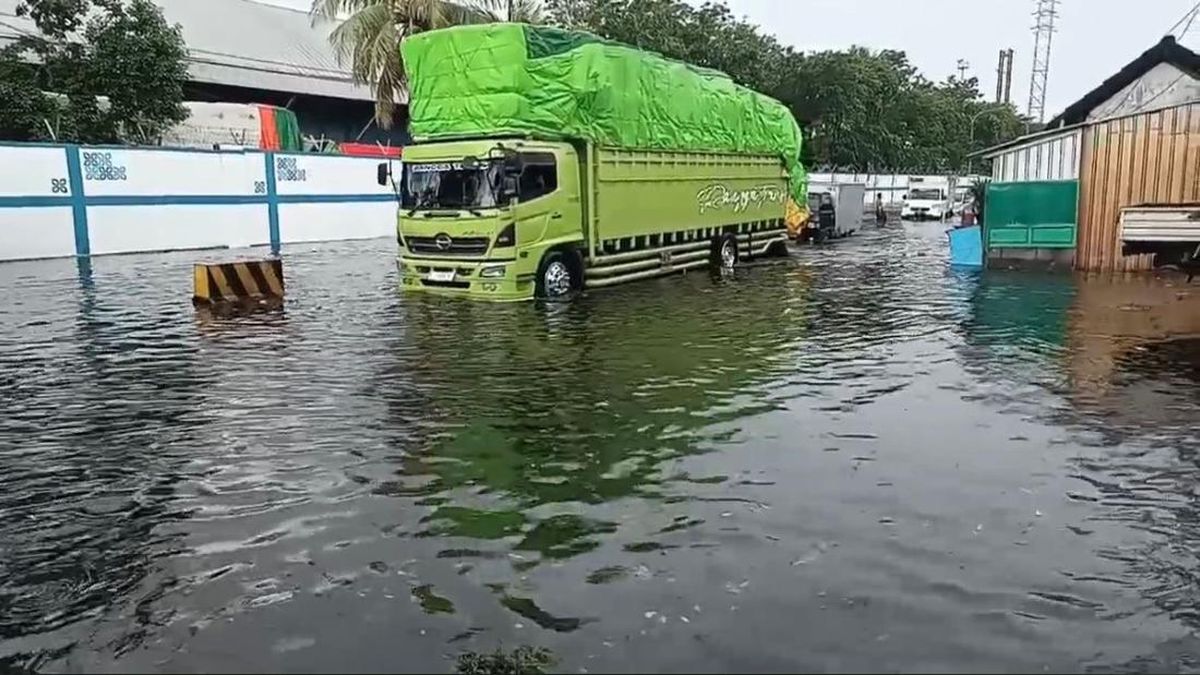 Banjir rob mengancam pesisir Jawa Timur dari Surabaya hingga Banyuwangi