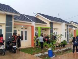 Skema Rent to Own: Solusi Baru Punya Rumah Subsidi Meski Catatan Kredit Bermasalah